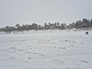 Biała plaża, pod śniegiem. Jasnoszare niebo. Na horyzoncie widać drzewa. Długa plaża zimą.