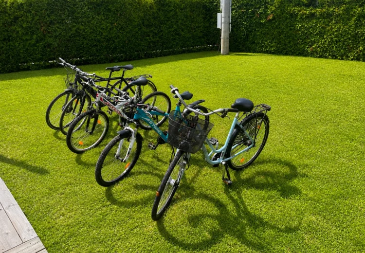 Villa Nordica | Ferienhaus für 11 Personen | Schwimmbad | Garten | Stegna in der Nähe des Zentrums