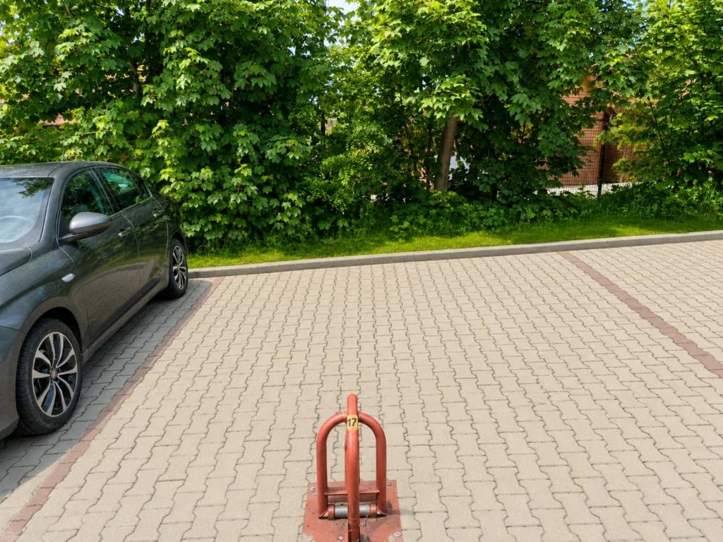 Zdjęcie 9